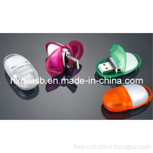 Plastic USB Flash Drive (HXQ-P049)